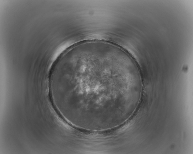 X0000092091075200709191241
