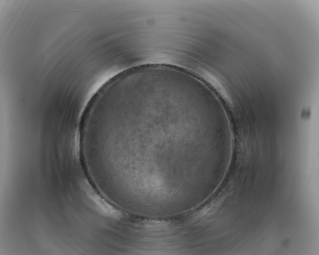 X0000092091076200709191241