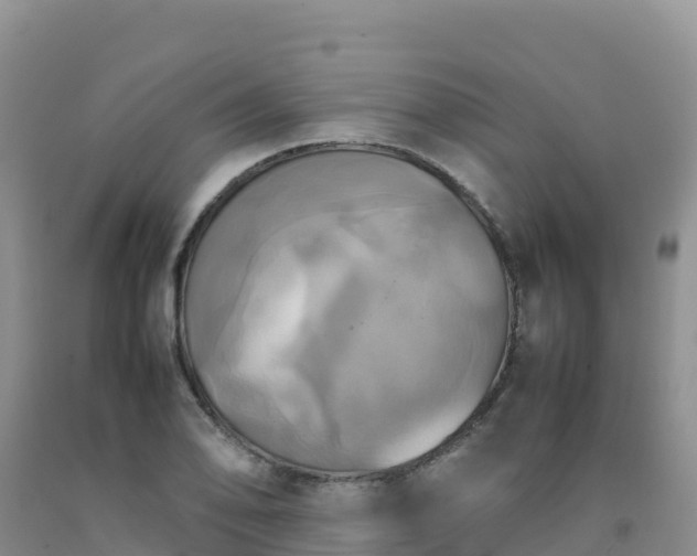 X0000092091078200709191241