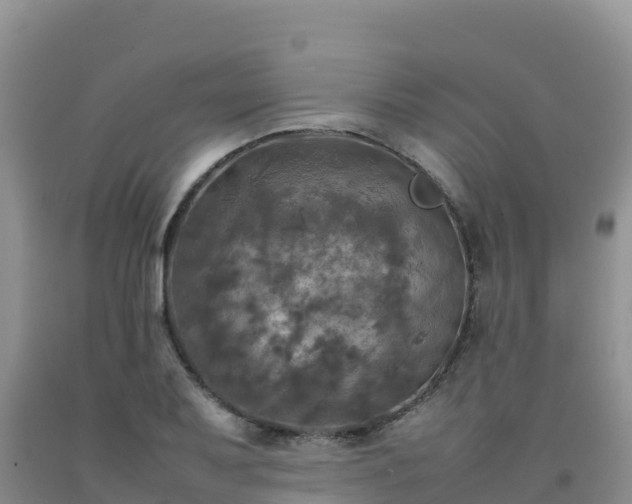 X0000092091079200709191241
