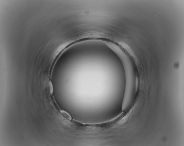 X0000092091081200709191241