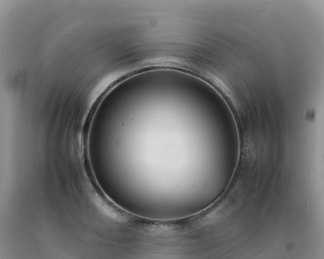 X0000092091082200709191241