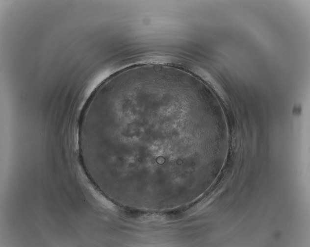 X0000092091083200709191241