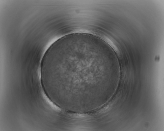 X0000092091084200709191241