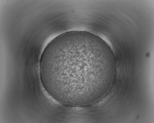 X0000092091088200709191240