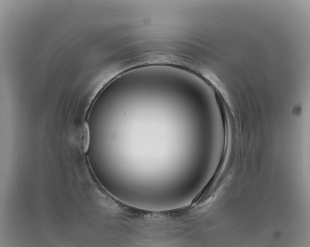 X0000092091089200709191240