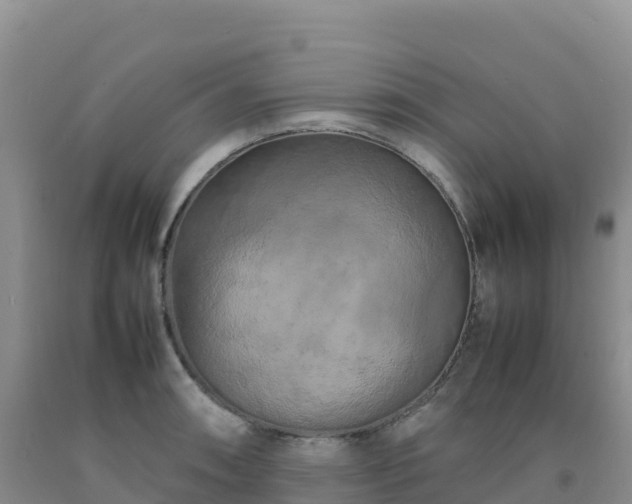 X0000092091090200709191240