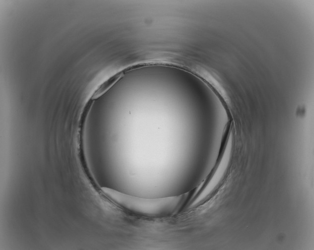 X0000092091093200709191240