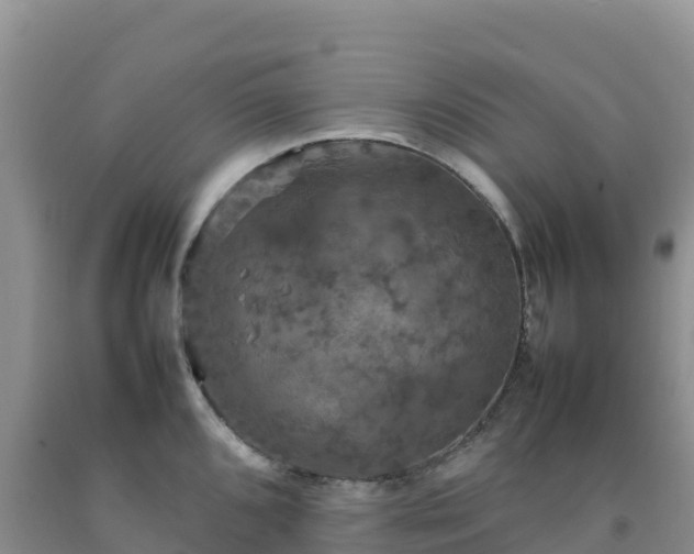 X0000092091096200709191240