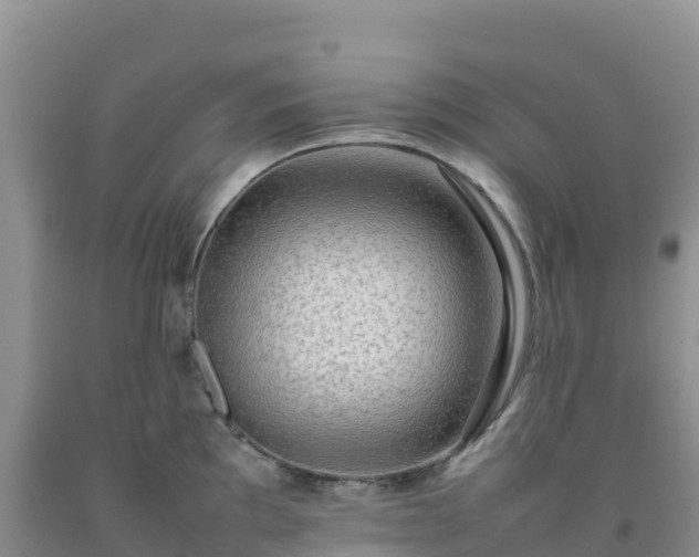 X0000092091097200709191240