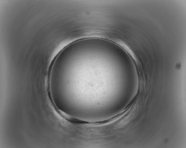 X0000092091101200709191240