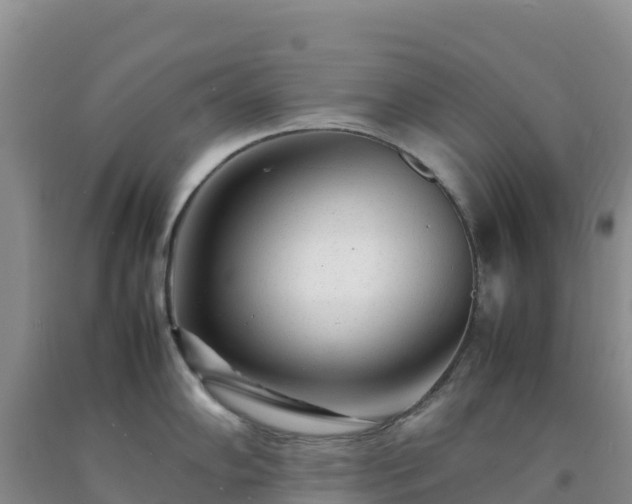 X0000092091102200709191240