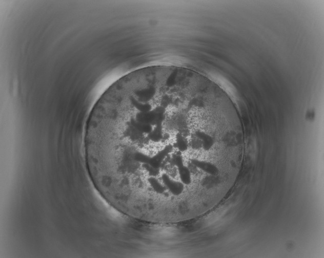 X0000092091103200709191240