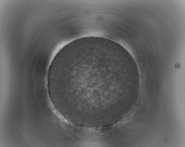 X0000092091104200709191240