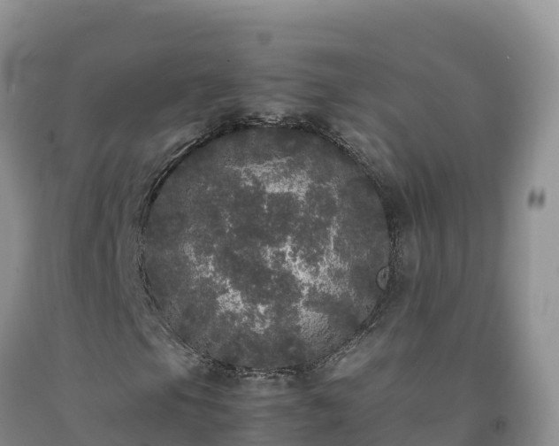 X0000092091105200709191240