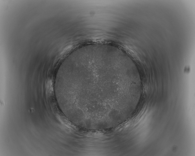 X0000092091106200709191240