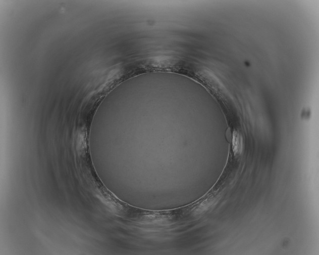 X0000092091107200709191240