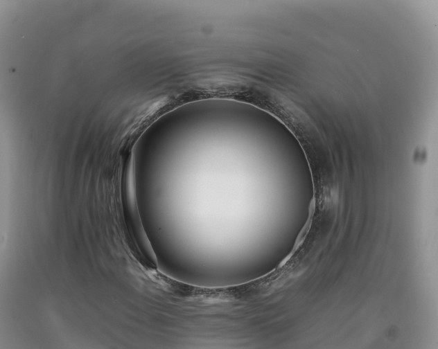 X0000092091108200709191240