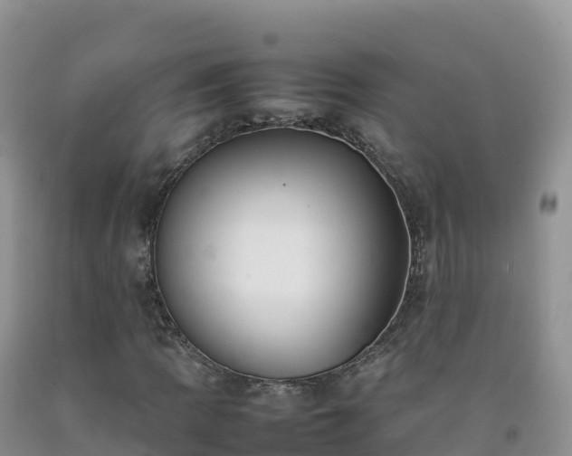 X0000092091109200709191240