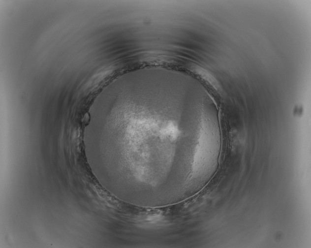 X0000092091111200709191240