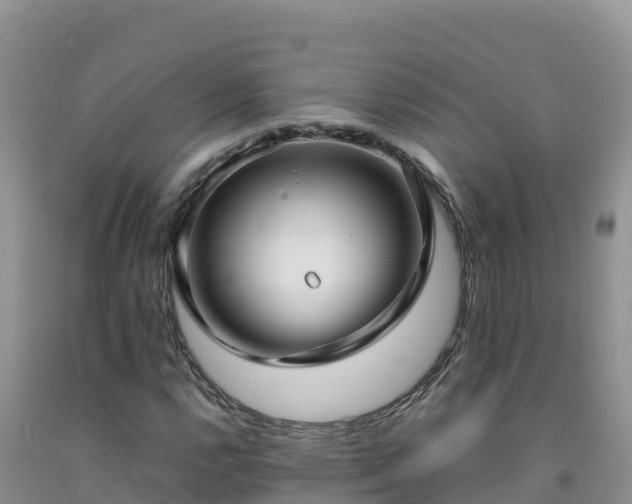 X0000092091112200709191240