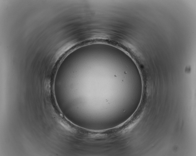 X0000092091113200709191240