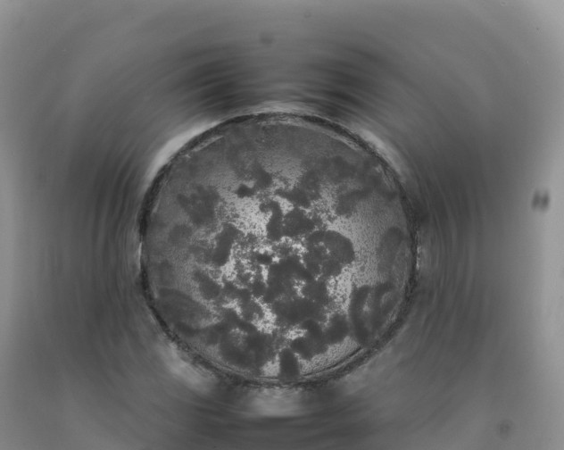 X0000092091117200709191240