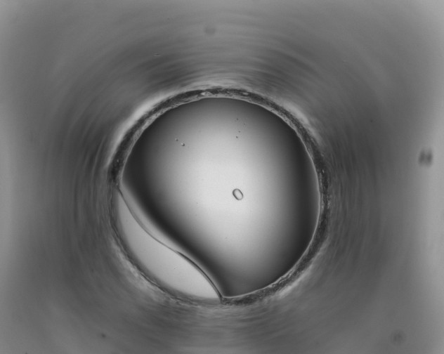 X0000092091118200709191240