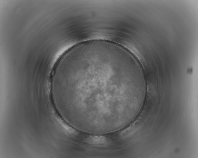 X0000092091119200709191240