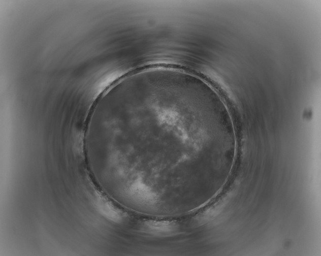 X0000092091121200709191240