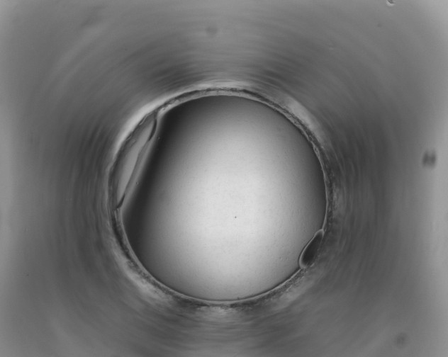 X0000092091124200709191240