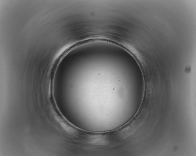 X0000092091127200709191240