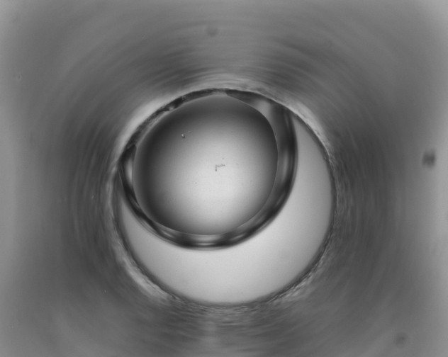 X0000092091128200709191240