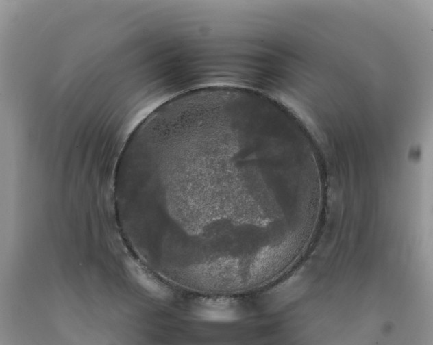 X0000092091129200709191240