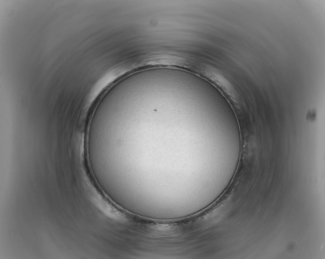 X0000092091130200709191240