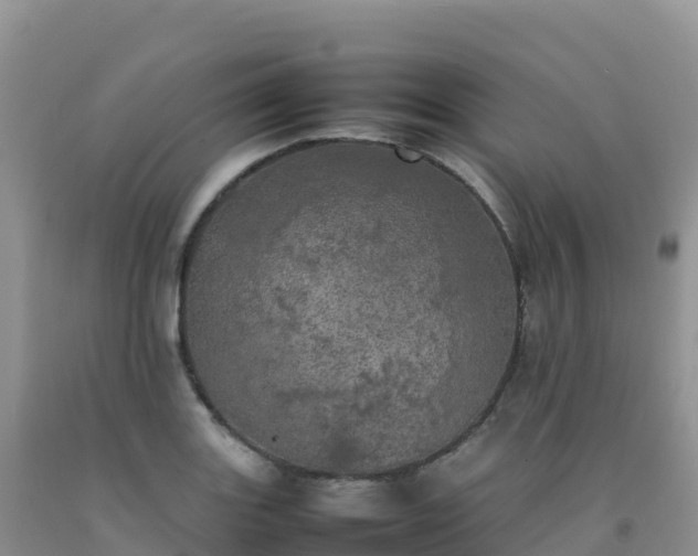 X0000092091131200709191240
