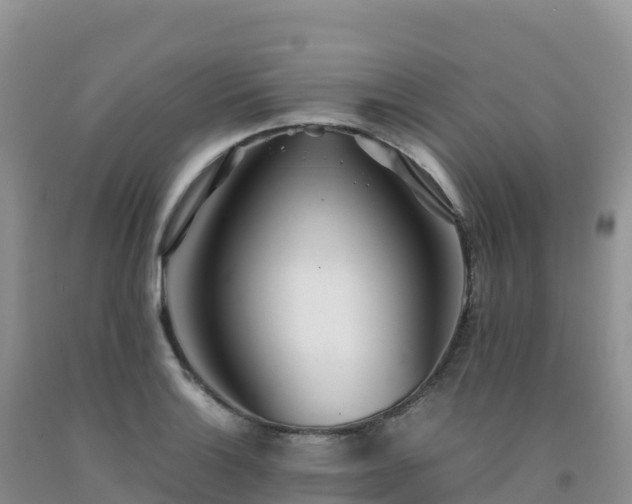 X0000092091132200709191240