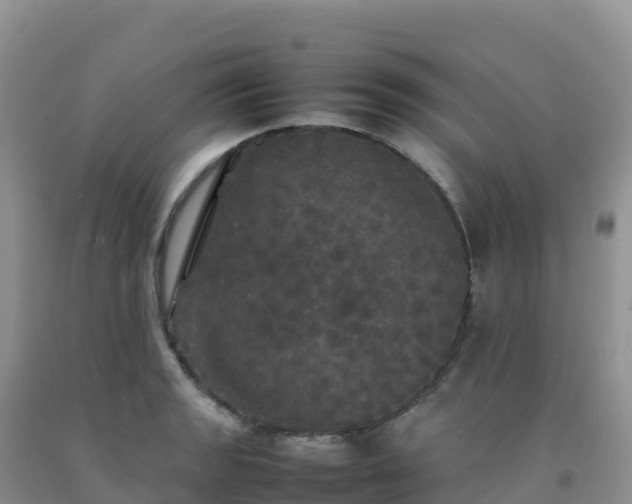 X0000092091133200709191240