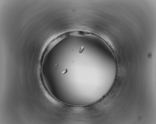 X0000092091136200709191240