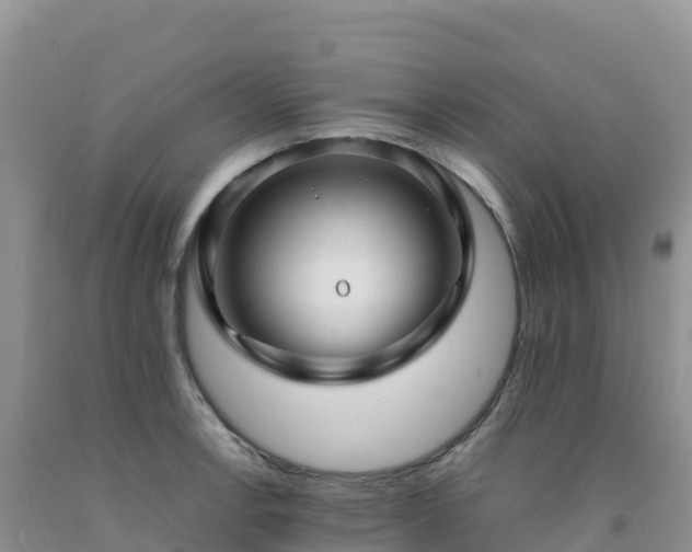 X0000092091138200709191240