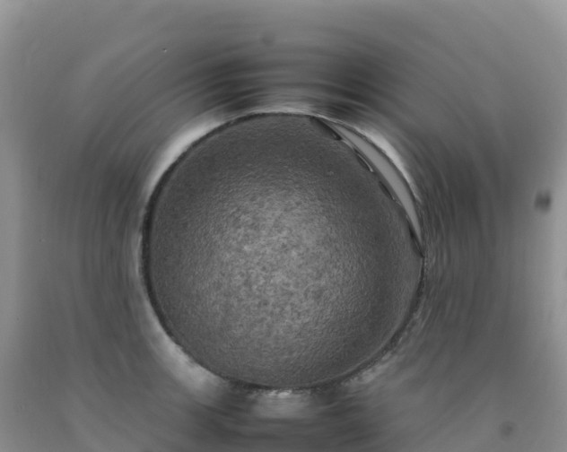 X0000092091139200709191240