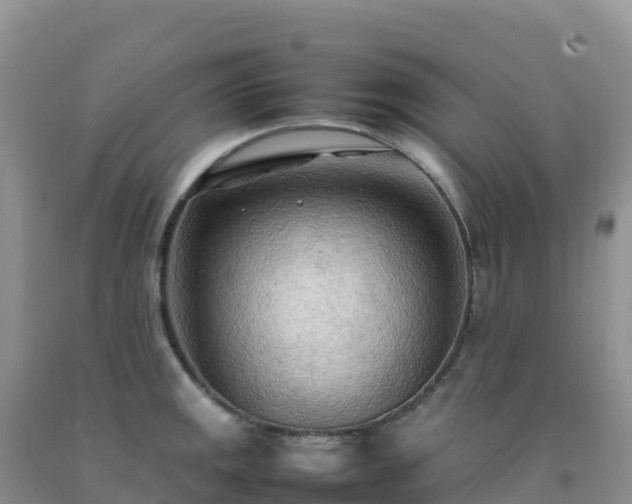 X0000092091141200709191240