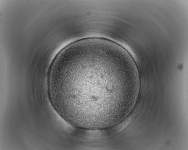 X0000092091142200709191240