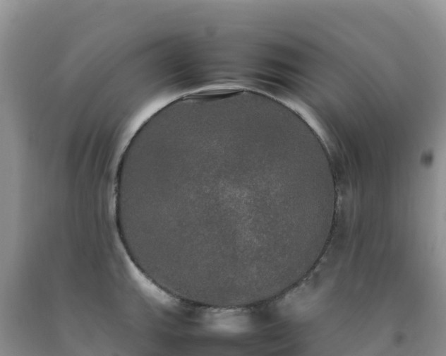X0000092091143200709191240