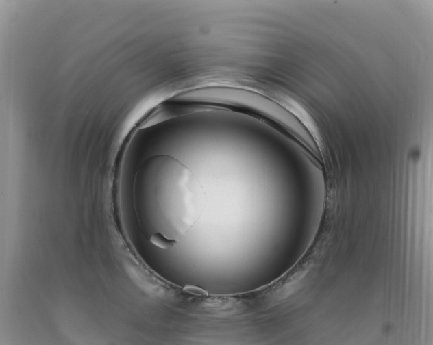 X0000092091146200709191240