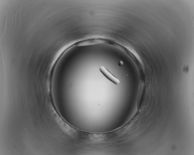 X0000092091148200709191240
