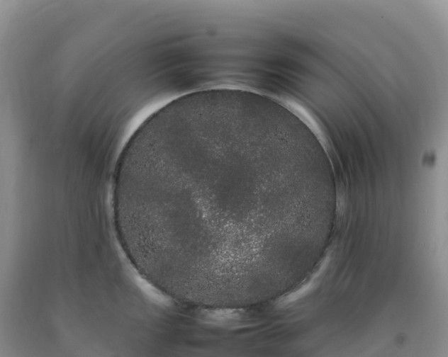 X0000092091149200709191240