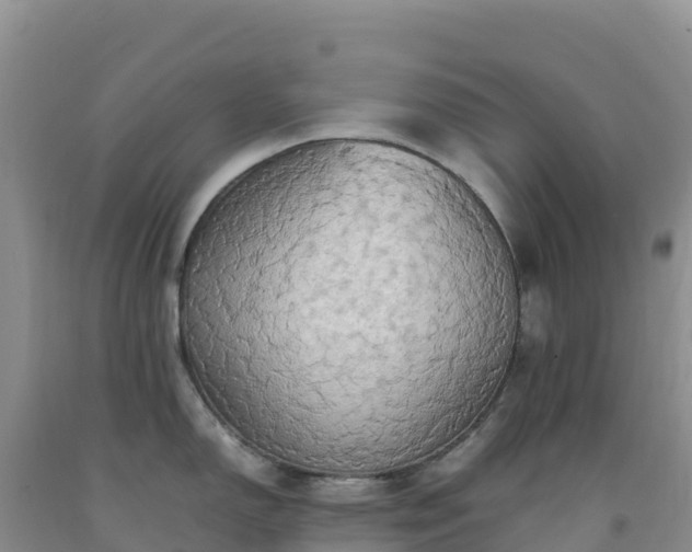 X0000092091150200709191240