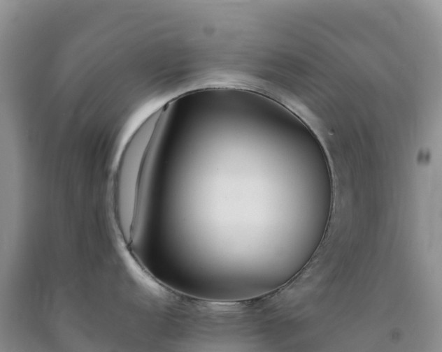 X0000092091152200709191240