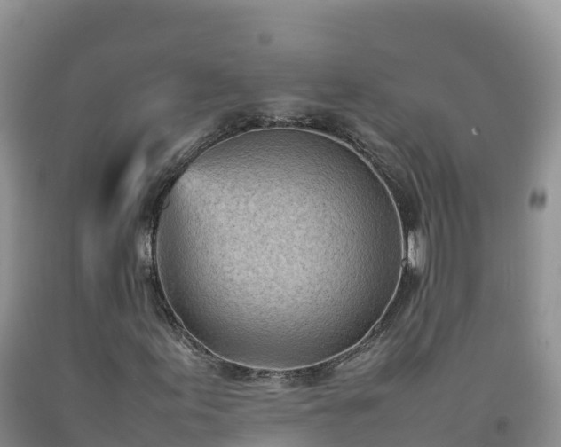 X0000092091155200709191240